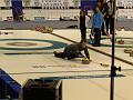 Curling Etchemin 061